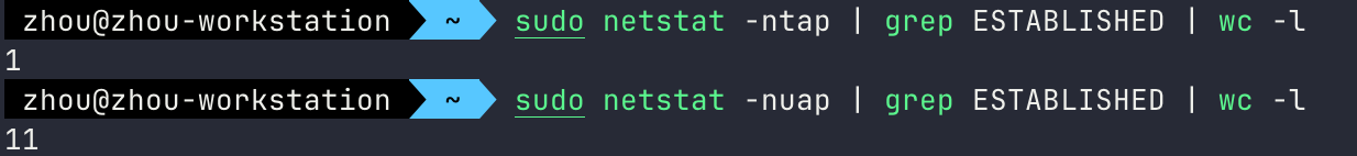 netstat lookup established connections